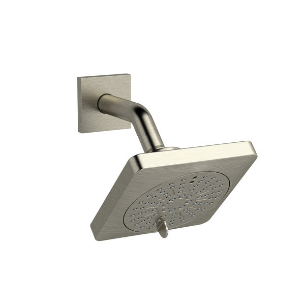 5" 6-Function Showerhead With Arm