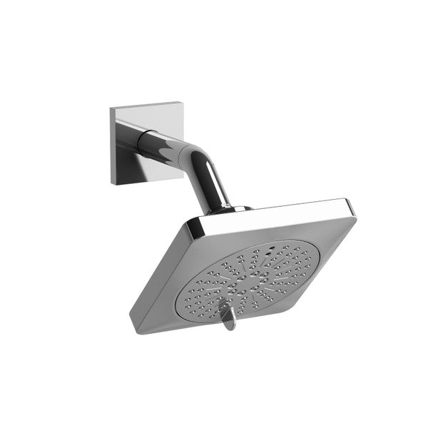 5" 6-Function Showerhead With Arm