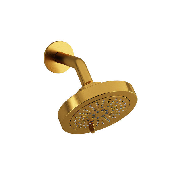 6-Function 6" Showerhead With Arm