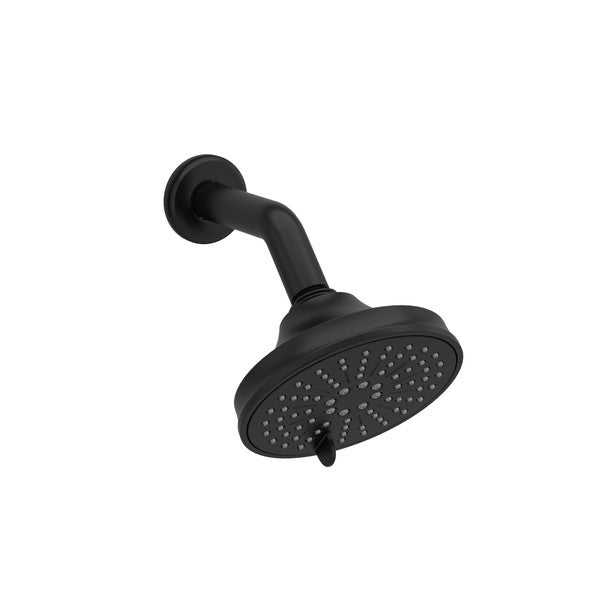 6-Function 5" Showerhead With Arm