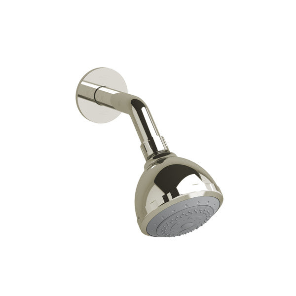 4" 3-Function Showerhead With Arm